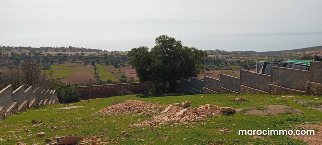 Terrain vue mer Taghazout villa ou Riad — 4