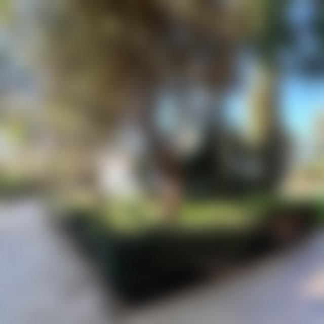 700 sqm Villa with Pool and Landscaped Garden, Polo, Casablanca — 3