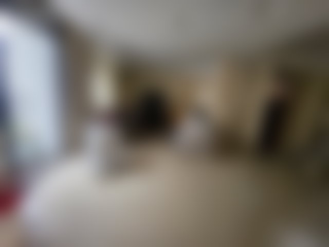 Appartement 228 m², meublé, terrasse, Quartier des Hôpitaux — 4