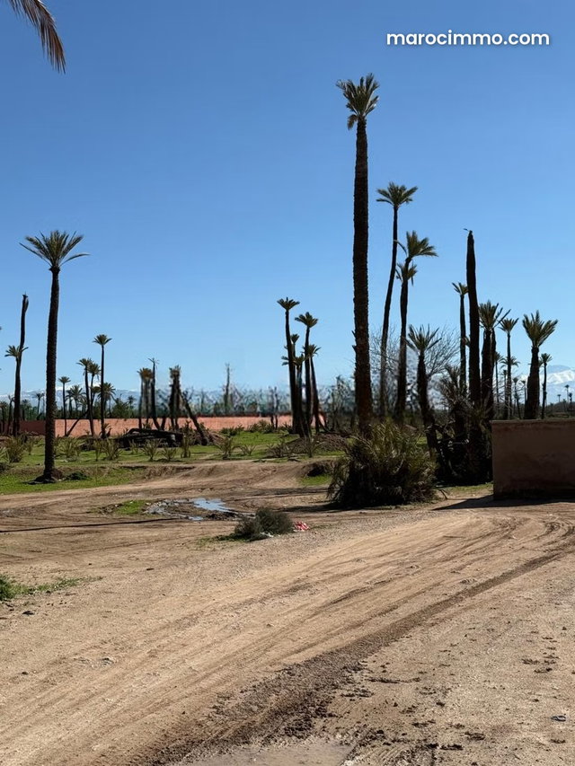 Terrain au circuit palmeraie marrakech — 2