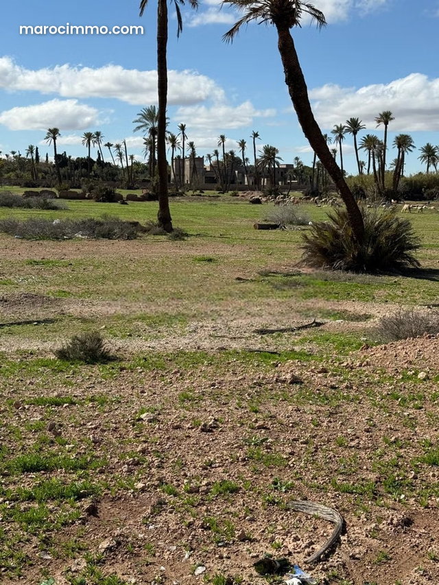 Terrain au circuit palmeraie marrakech — 3