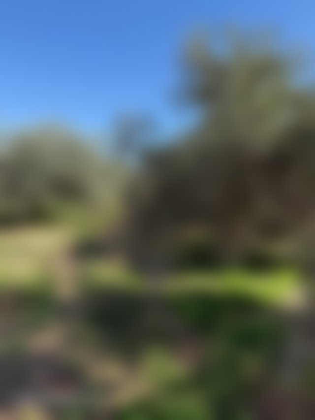 فرصة استثمارية نادرة: أرض فلاحية 11.5 هكتار بطريق فاس مراكش — 3