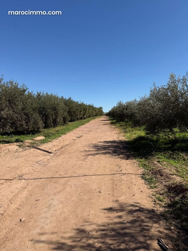 Agricultural Opportunity to Seize — 4
