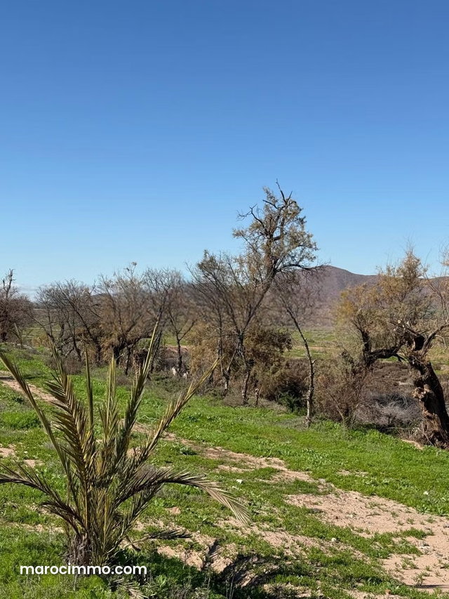 Terrain route de fez Marrakech — 3