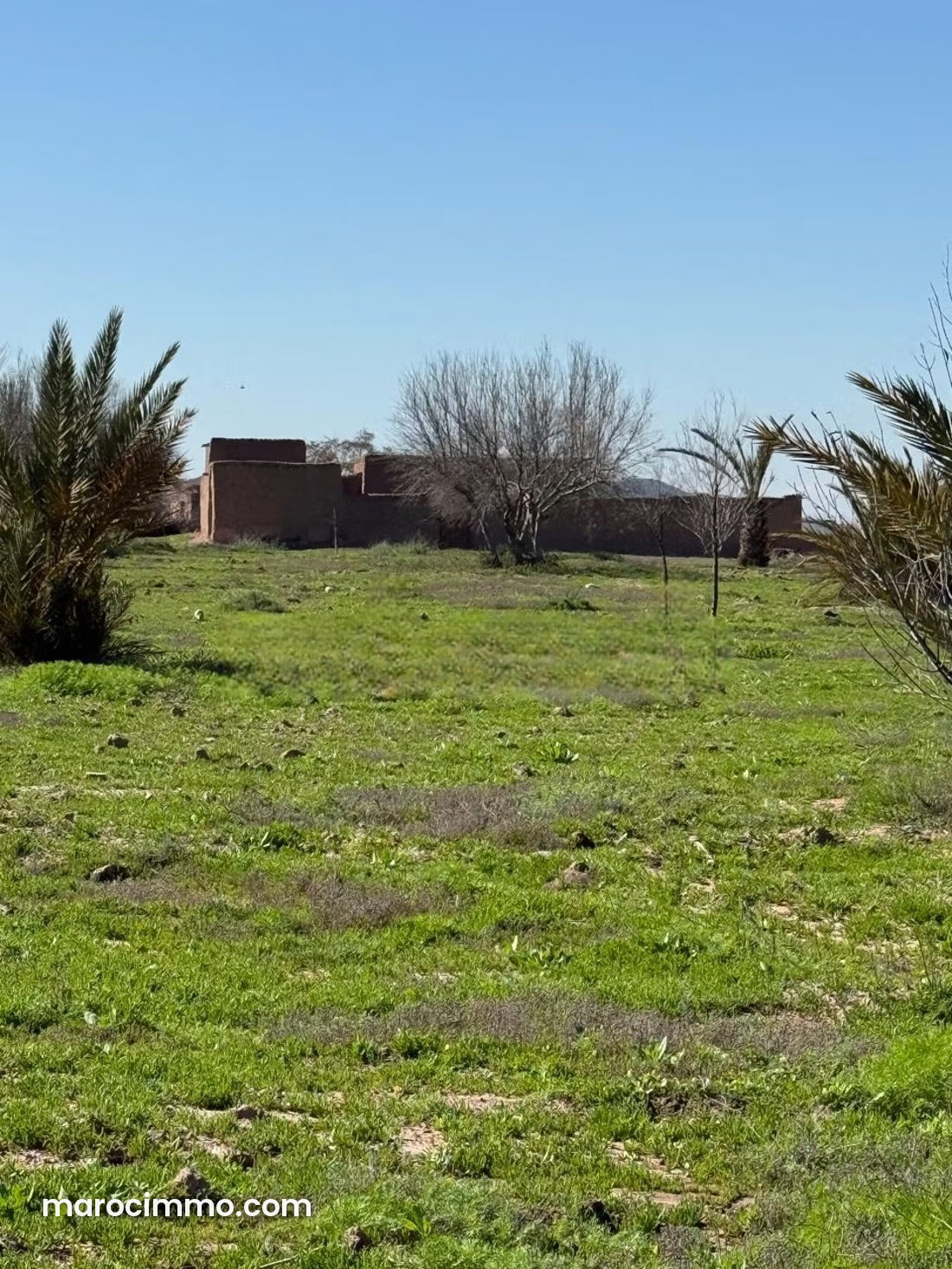 Terrain agricole de 8 hectares, Route de Fès, Marrakech — Marrakech