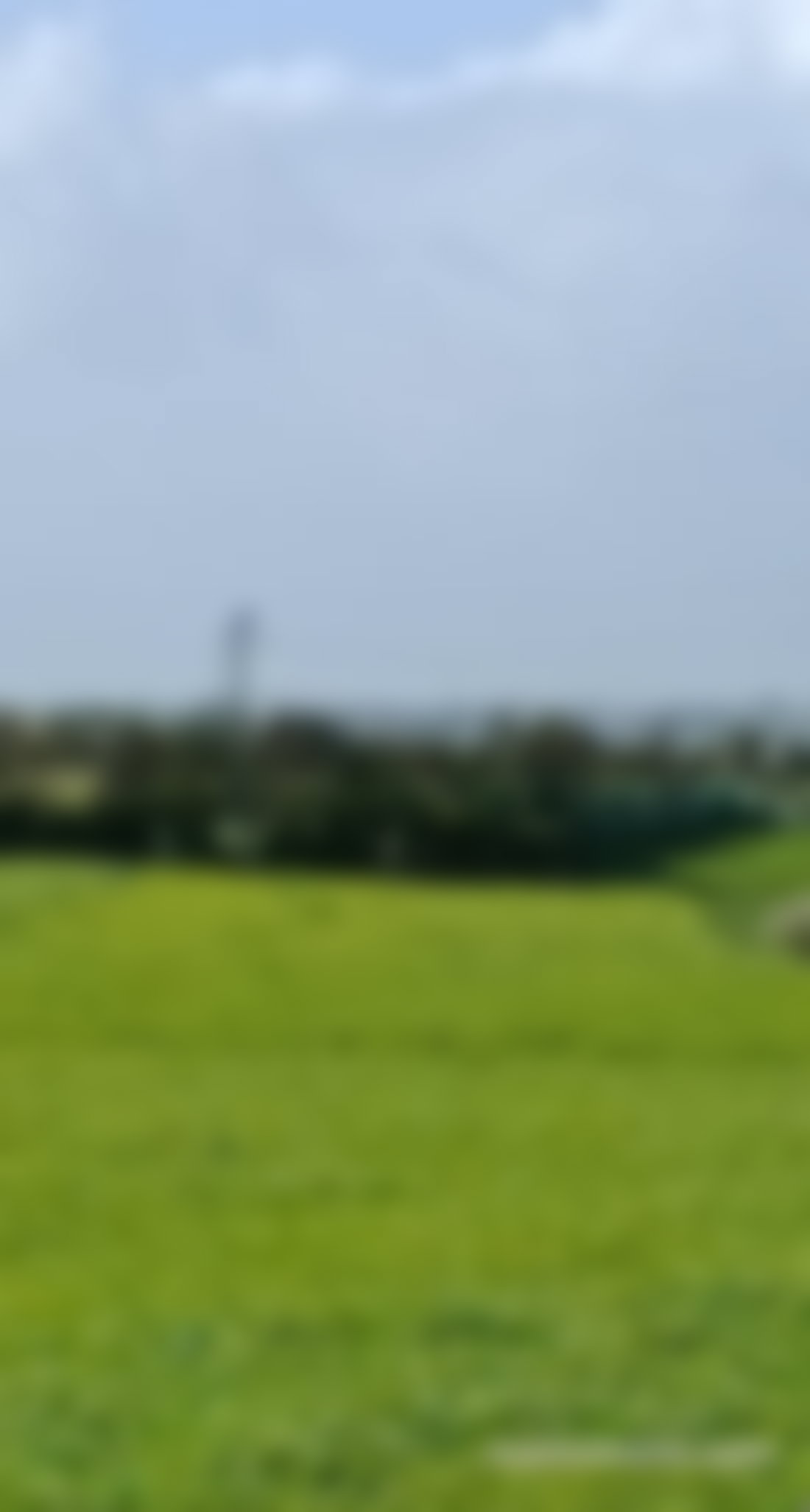 Ferme de 5 hectares vue mer, Bir Jdid