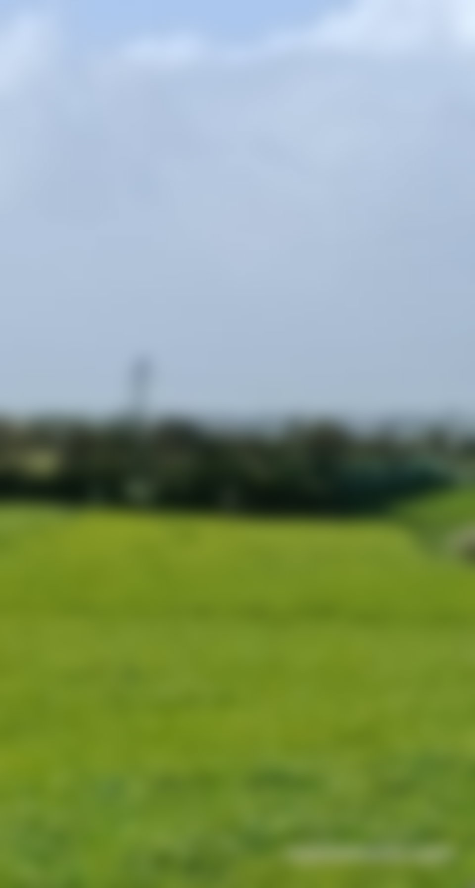 Ferme de 5 hectares vue mer, Bir Jdid