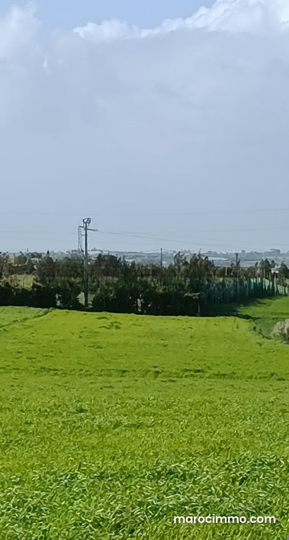 Agréable ferme à vendre à Bir Jdid. 5 ha