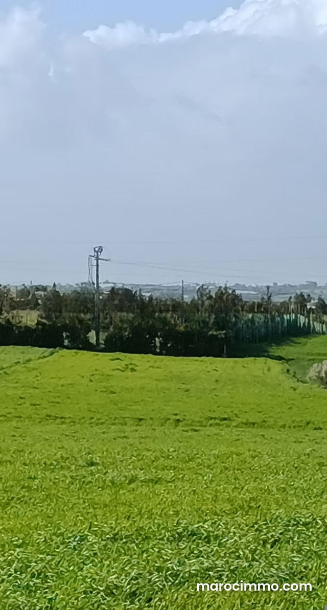 Agréable ferme à vendre à Bir Jdid. 5 ha — Bir Jdid