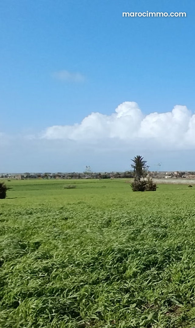 Agréable ferme à vendre à Bir Jdid. 5 ha — 2