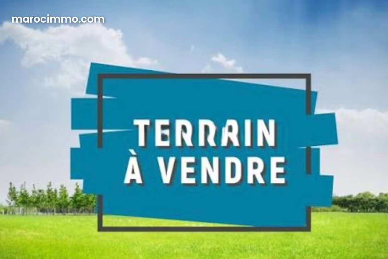 Grand terrain 41 000 m² à vendre à Saidia — Saidia