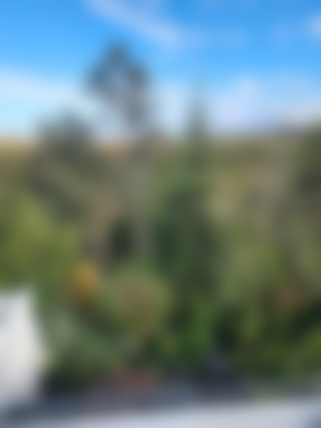 1,150 m² Villa on 3,450 m² of Mature Landscaped Grounds, Souissi, Rabat — 5