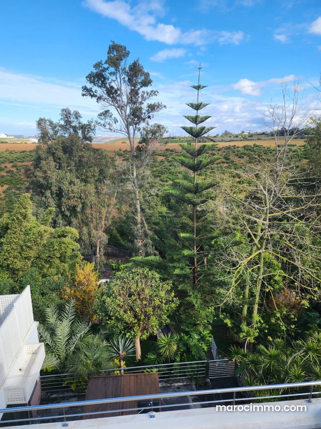 Villa de prestige à vendre à Rabat –Souissi — 5