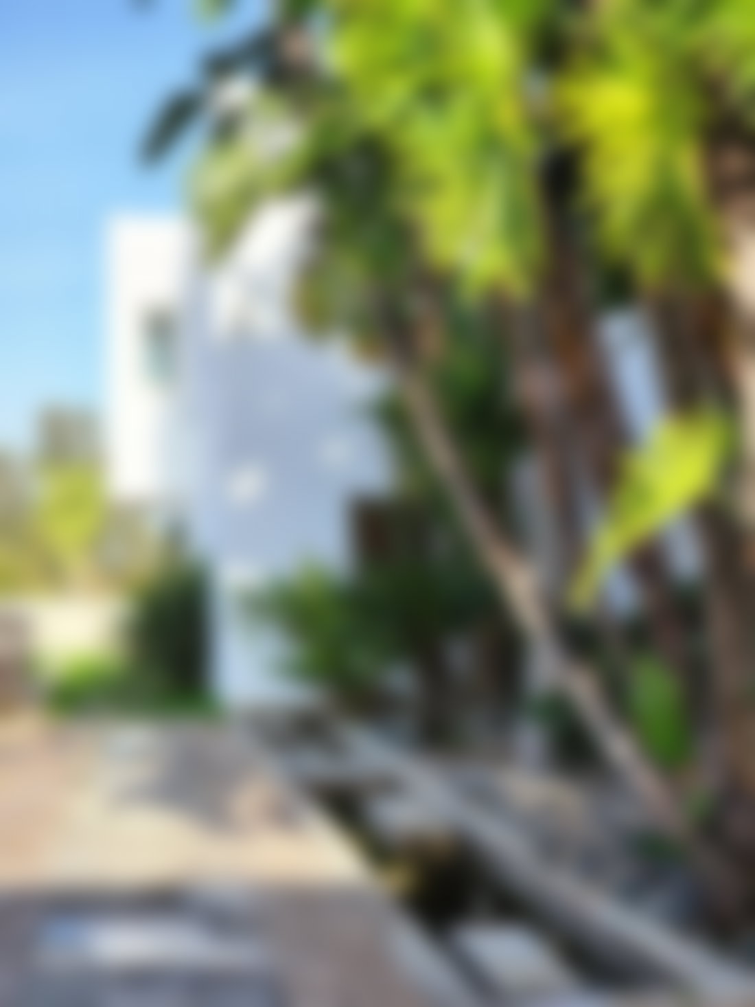 1,150 m² Villa on 3,450 m² of Mature Landscaped Grounds, Souissi, Rabat