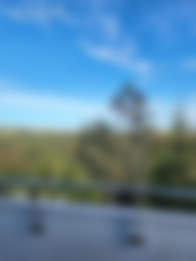 1,150 m² Villa on 3,450 m² of Mature Landscaped Grounds, Souissi, Rabat — 4