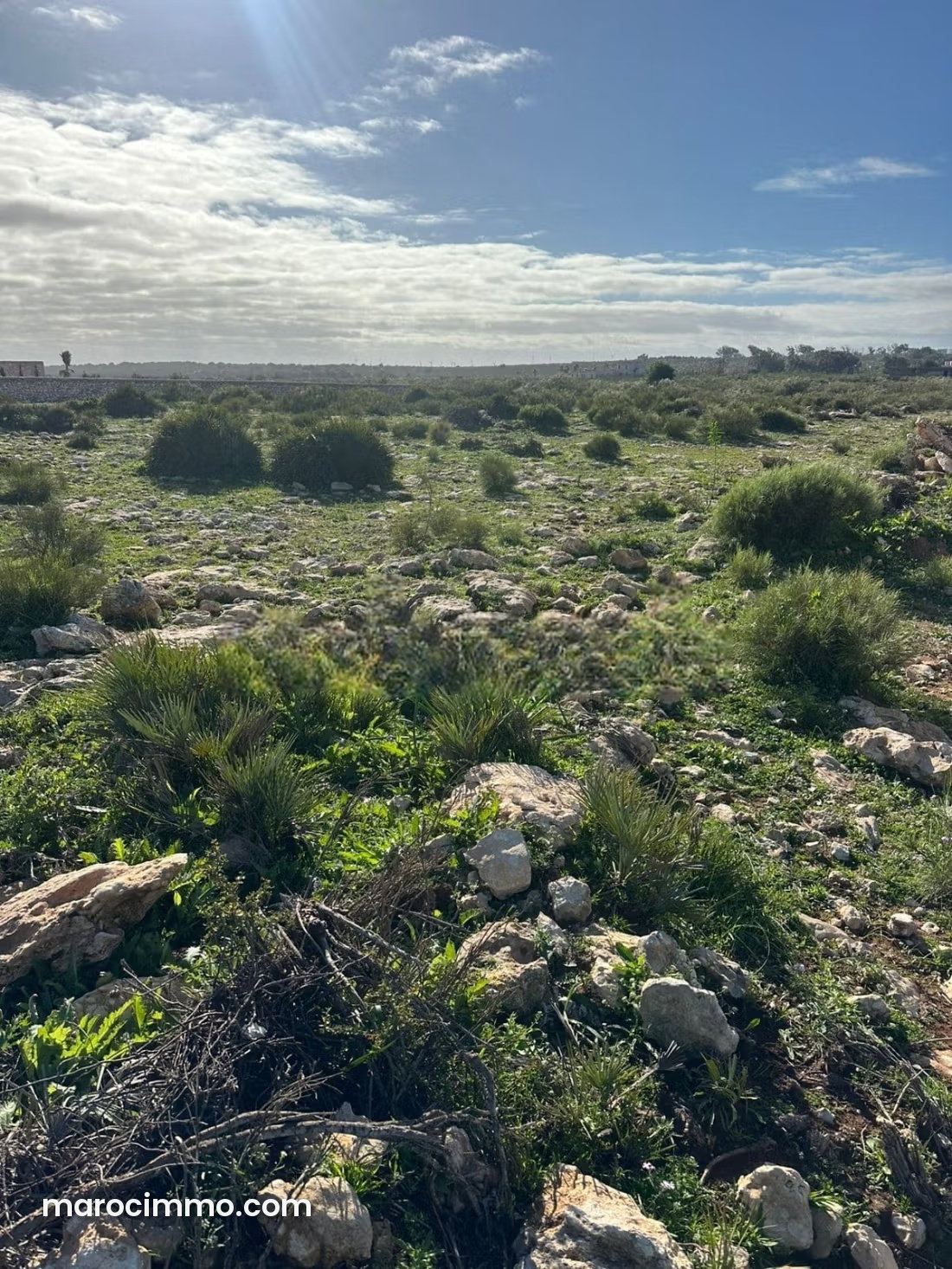 Terrain titré 2 110 m² à Ghazoua pour villa ou maison d'hôtes — Essaouira