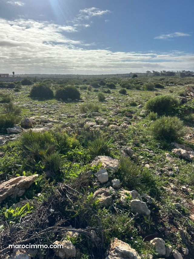 Terrain titré à vendre 2 110 m² à Ghazoua — Essaouira