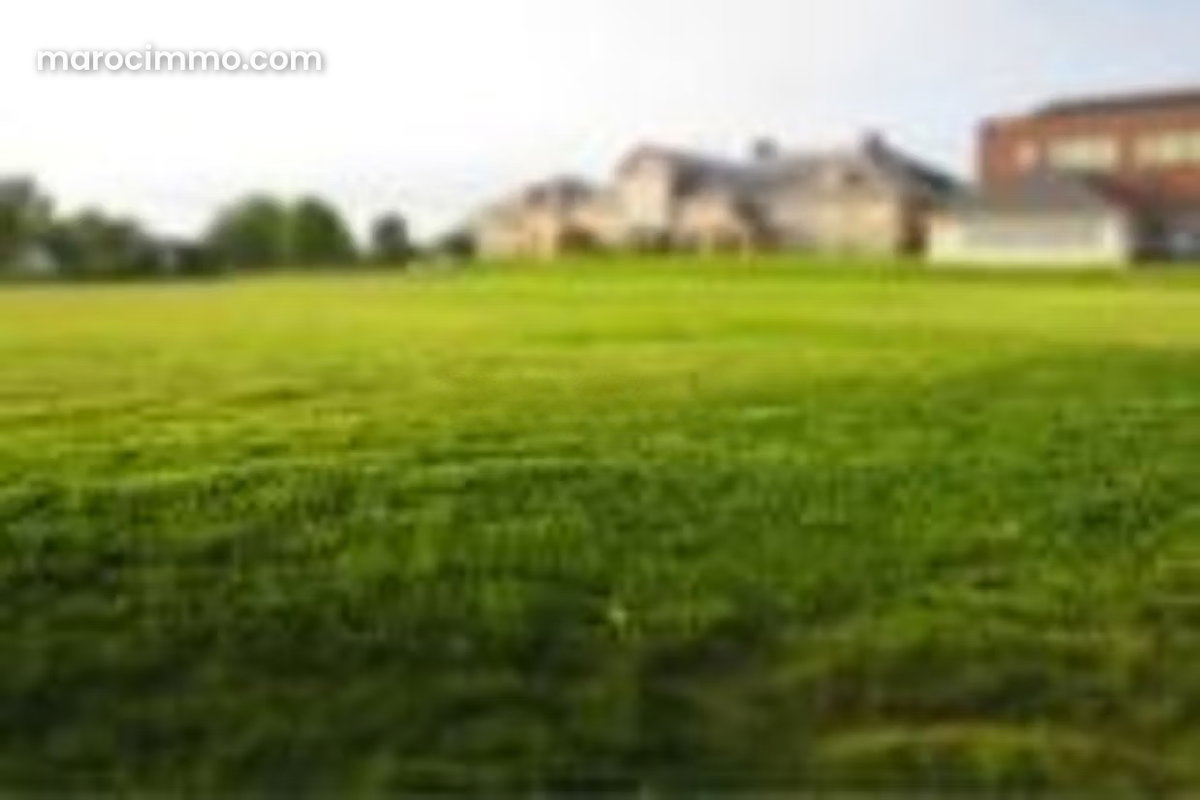 Land leased to a gas station for sale