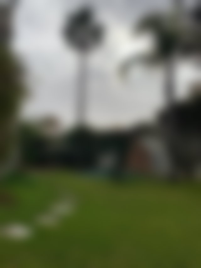600 m² Villa with Pool and Garden, Oasis, Casablanca — 3
