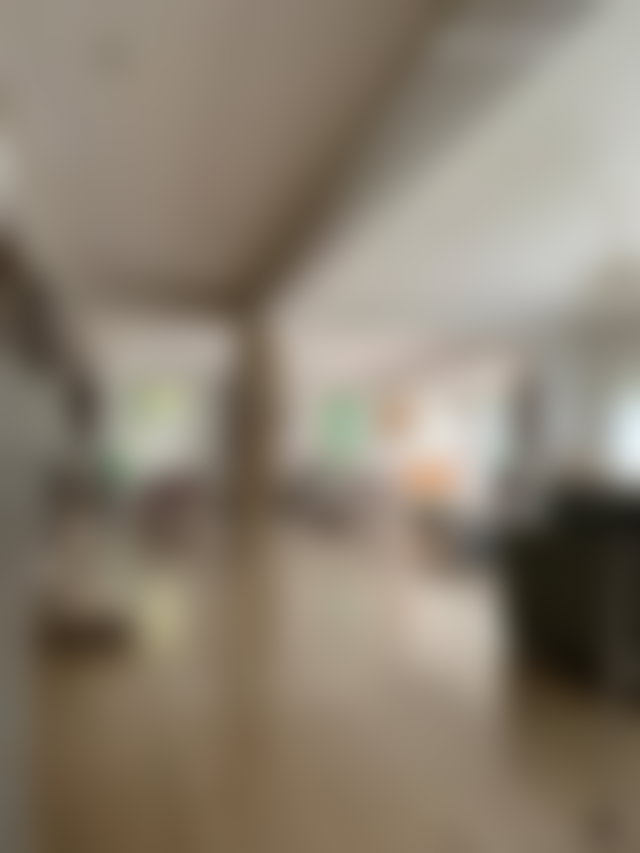 600 m² Villa with Pool and Garden, Oasis, Casablanca — 4