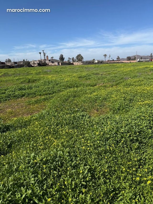 Land for Sale on Main Road — 4
