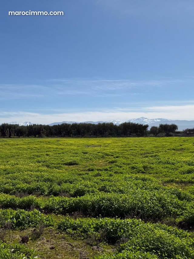 Land for Sale on Main Road — 2