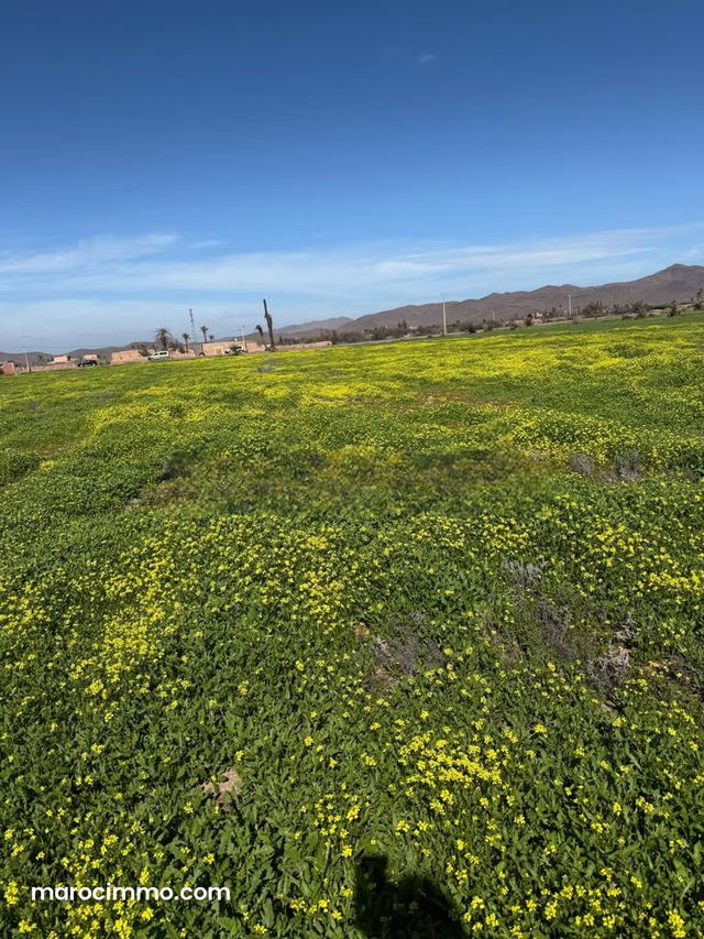 Land for Sale on Main Road — Marrakesh
