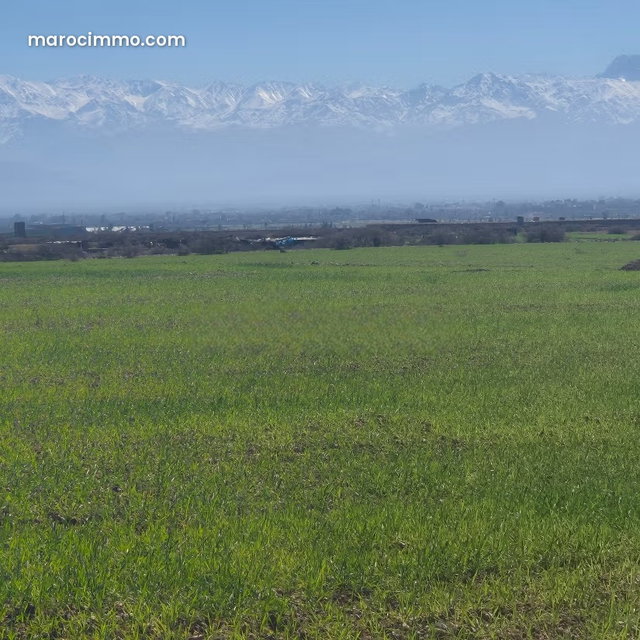 Terrain à la vente à Route Casablanca. Surface de 4500 m² — 3