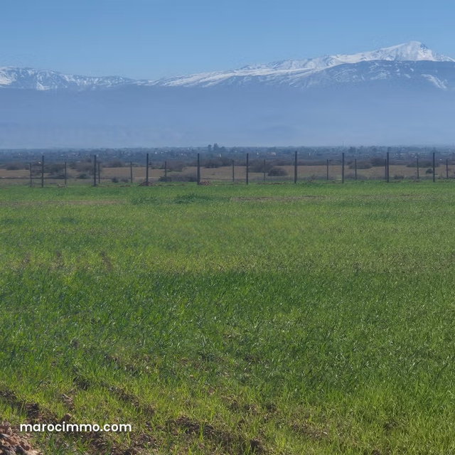 Terrain à la vente à Route Casablanca. Surface de 4500 m² — 2