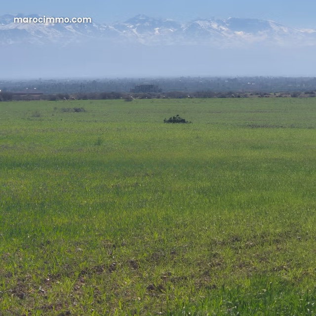 Terrain à la vente à Route Casablanca. Surface de 4500 m² — 5