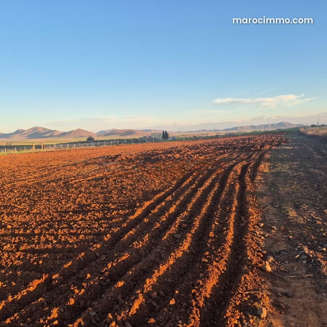 Vente terrain à Route Casablanca. Surface totale 4500 m² — 3
