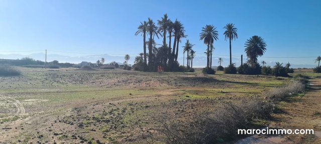 Vente Terrain nu à route de casablanca — 3