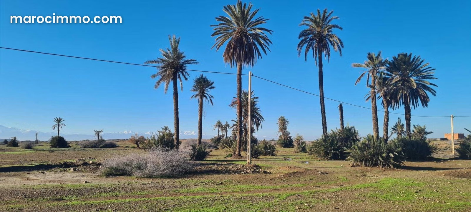 أرض 22 000 م² بإطلالة على الأطلس في طريق الدار البيضاء مراكش — مراكش