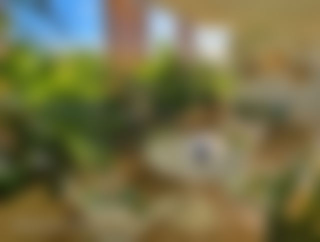 Furnished Apartment with Ocean View, Aïn Diab, Casablanca — Casablanca