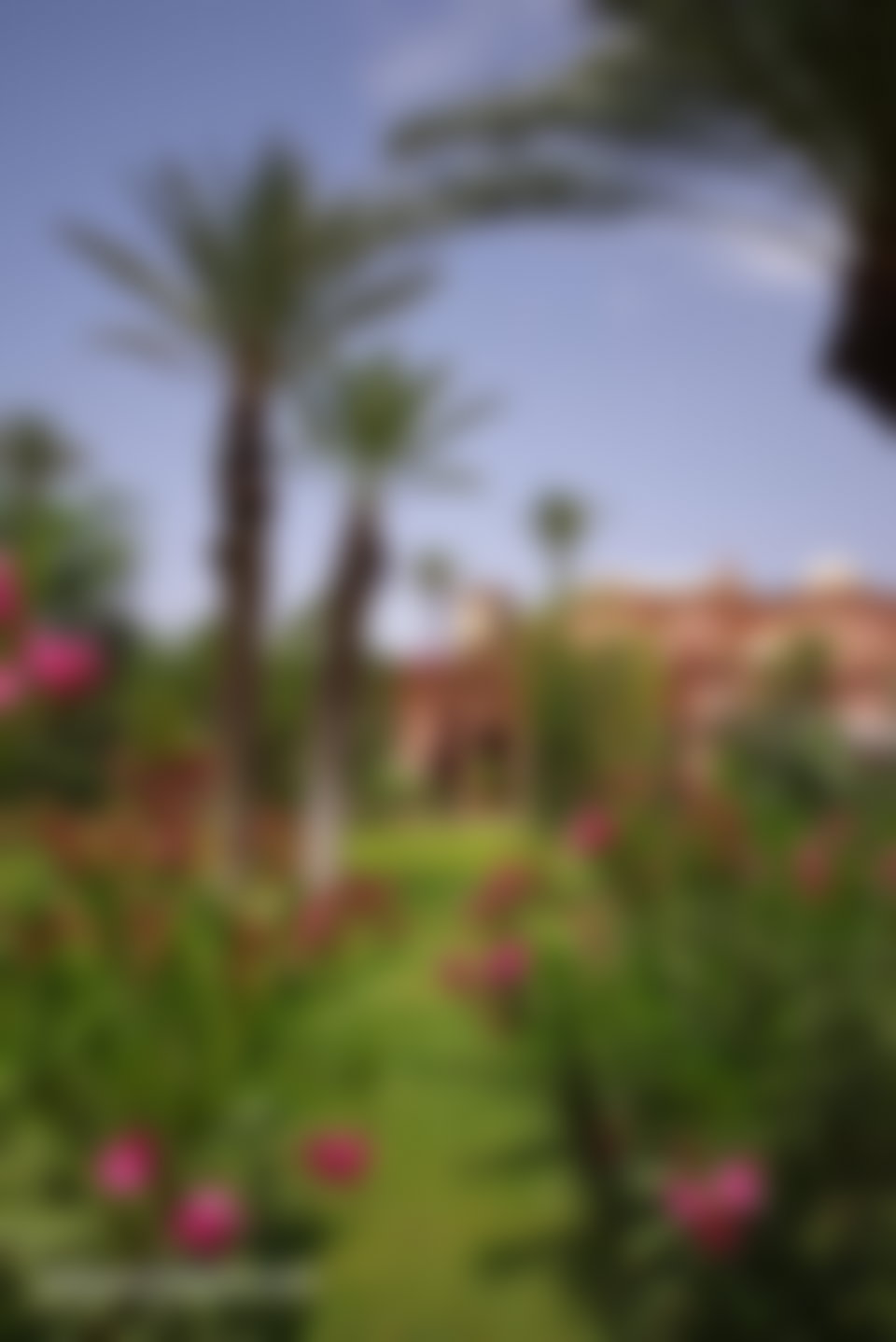 فيلا فاخرة للبيع بحي النخيل في مراكش