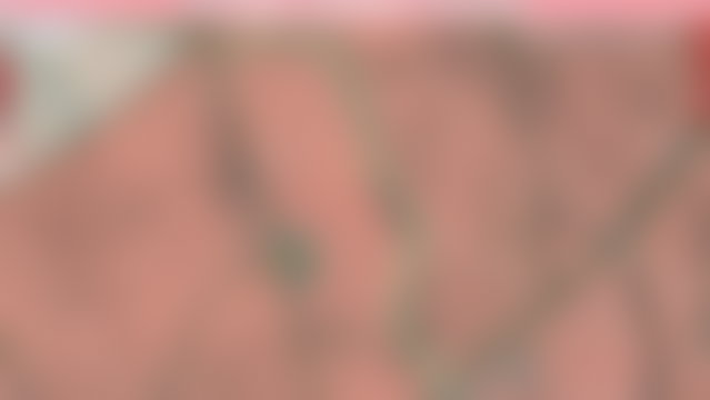 فيلا فاخرة للبيع بحي النخيل في مراكش — 4