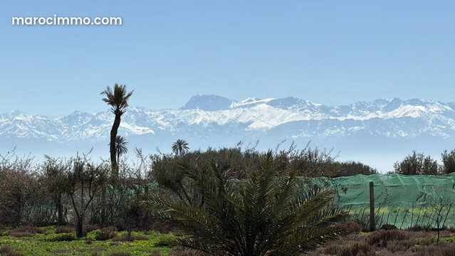 Terrain au calme, vue Atlas 1 Hectare à Marrakech — 3