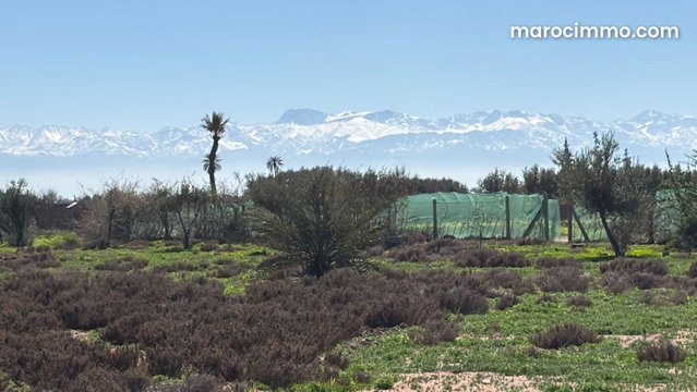 Terrain au calme, vue Atlas 1 Hectare à Marrakech — 4