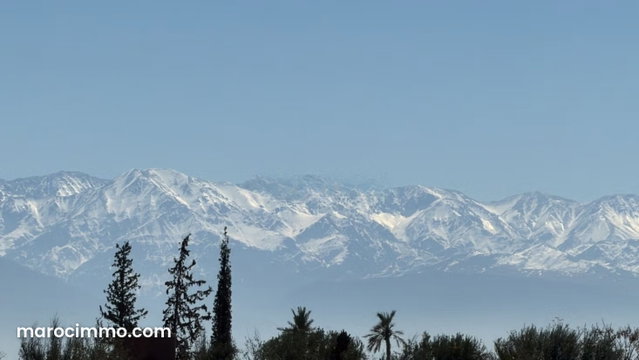 Terrain au calme, vue Atlas 1 Hectare à Marrakech — 2