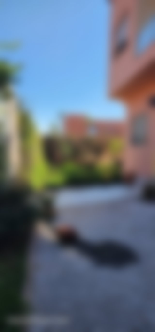 Villa 5 chambres avec piscine et jardin, Agdal, Marrakech — 4