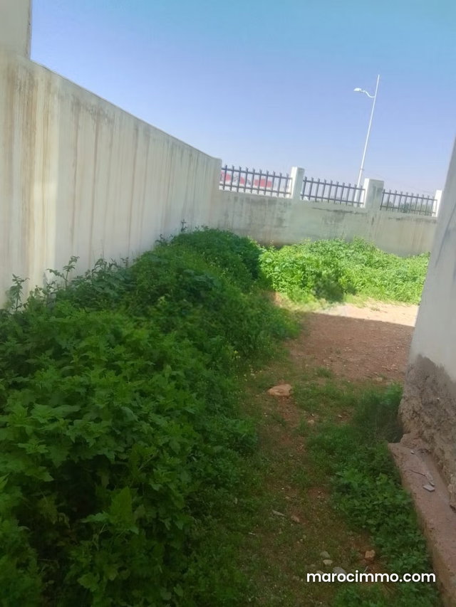 Large property for sale in Adrar — 5