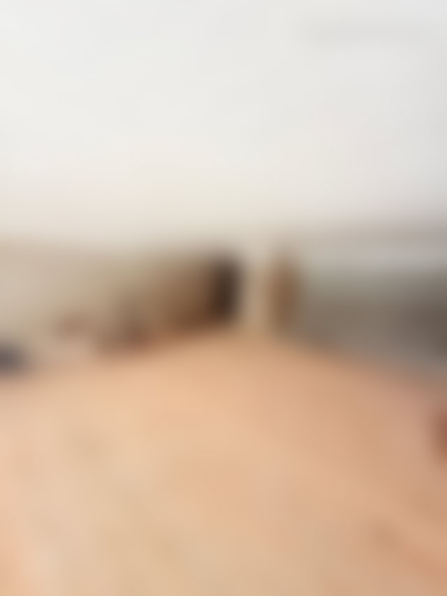 محل حديث للكراء بحي فيل فيرت بوسكورة — 4