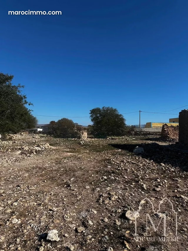 Ancienne maison Grand terrain constructible TITRE — 3