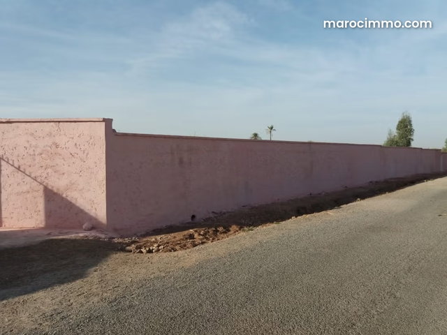 Trouvez votre ferme à acheter à Route de Fez. Surface totale 40000 m². Parking — 4