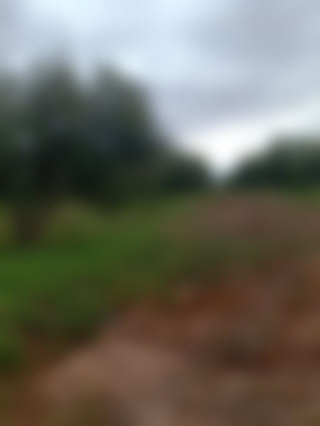 Ferme 40 000 m² à vendre Route de Fès Marrakech — 2