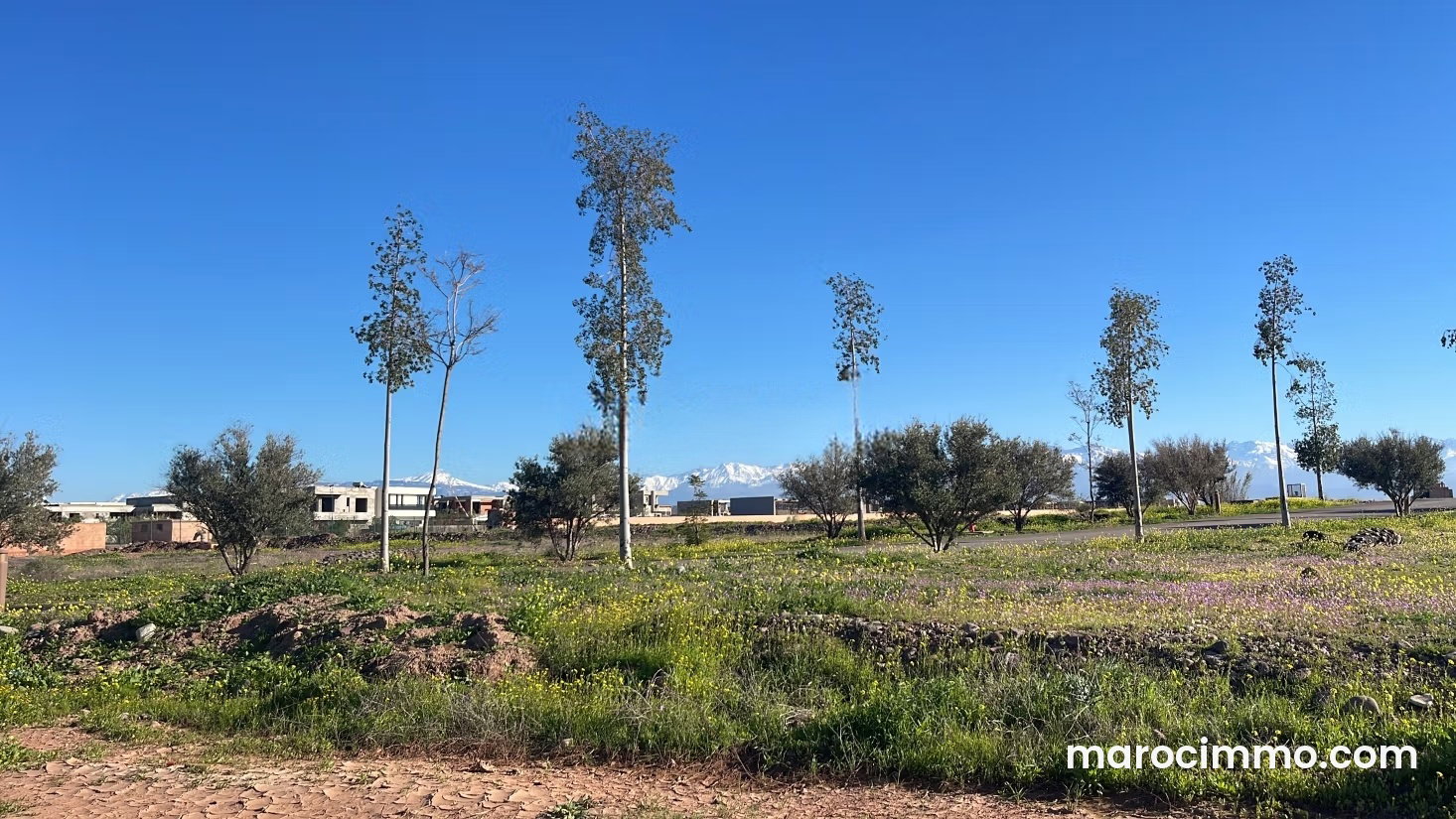 504 m² Plot on Route d'Ourika, Marrakech, Atlas Views — Marrakesh