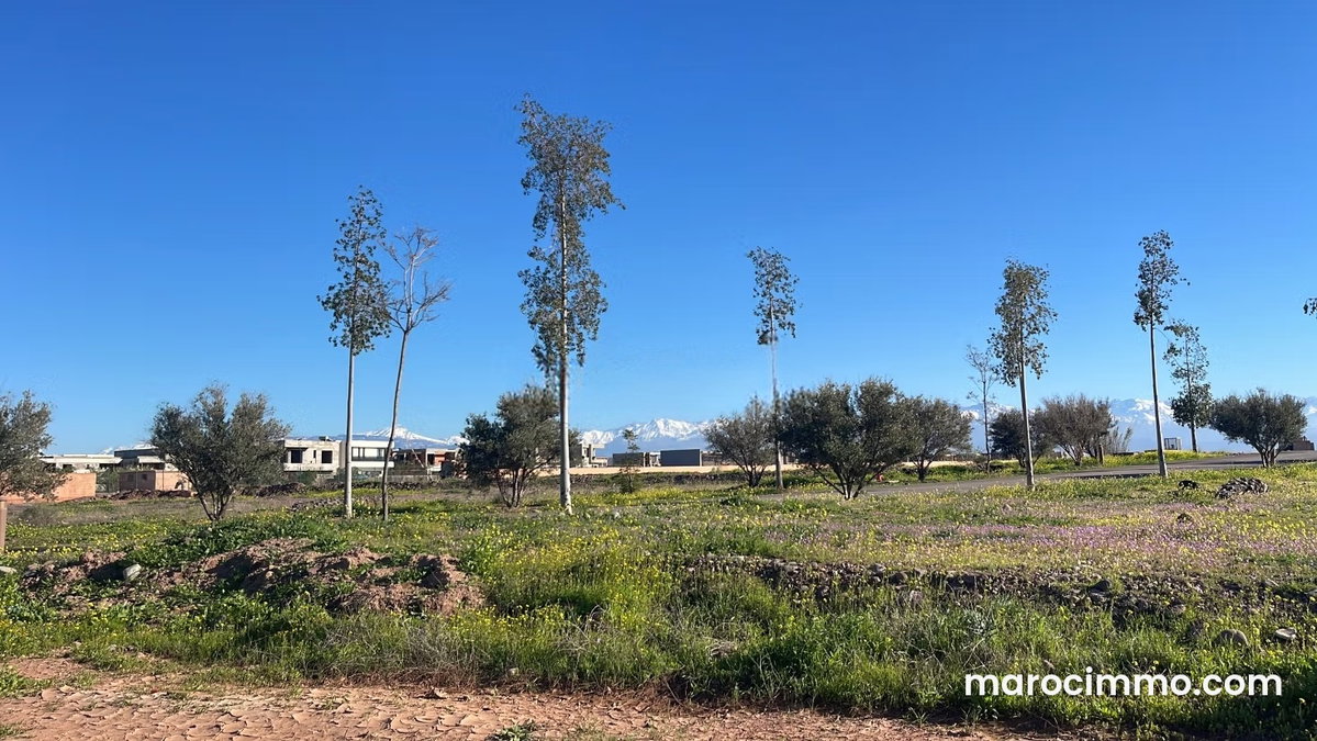 504 sqm Land for Sale in Akenza Marrakech