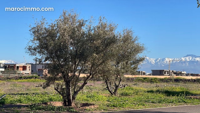 504 sqm Land for Sale in Akenza Marrakech — 2