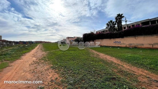 Terrain à vendre 3 237 m² Californie Casablanca — 4