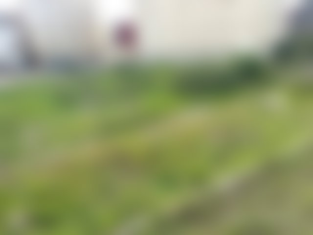 Terrain 1500 m² à Azib Haj Kaddour, Tanger — 4